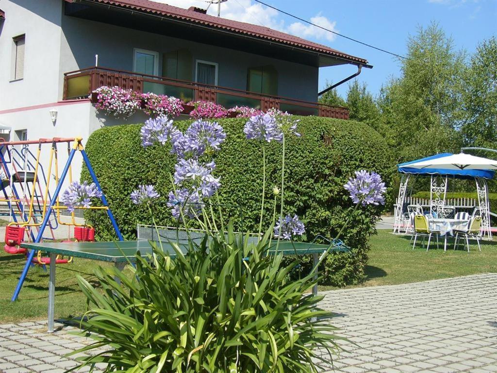 Pension Sonnenschein 圣卡荐 外观 照片